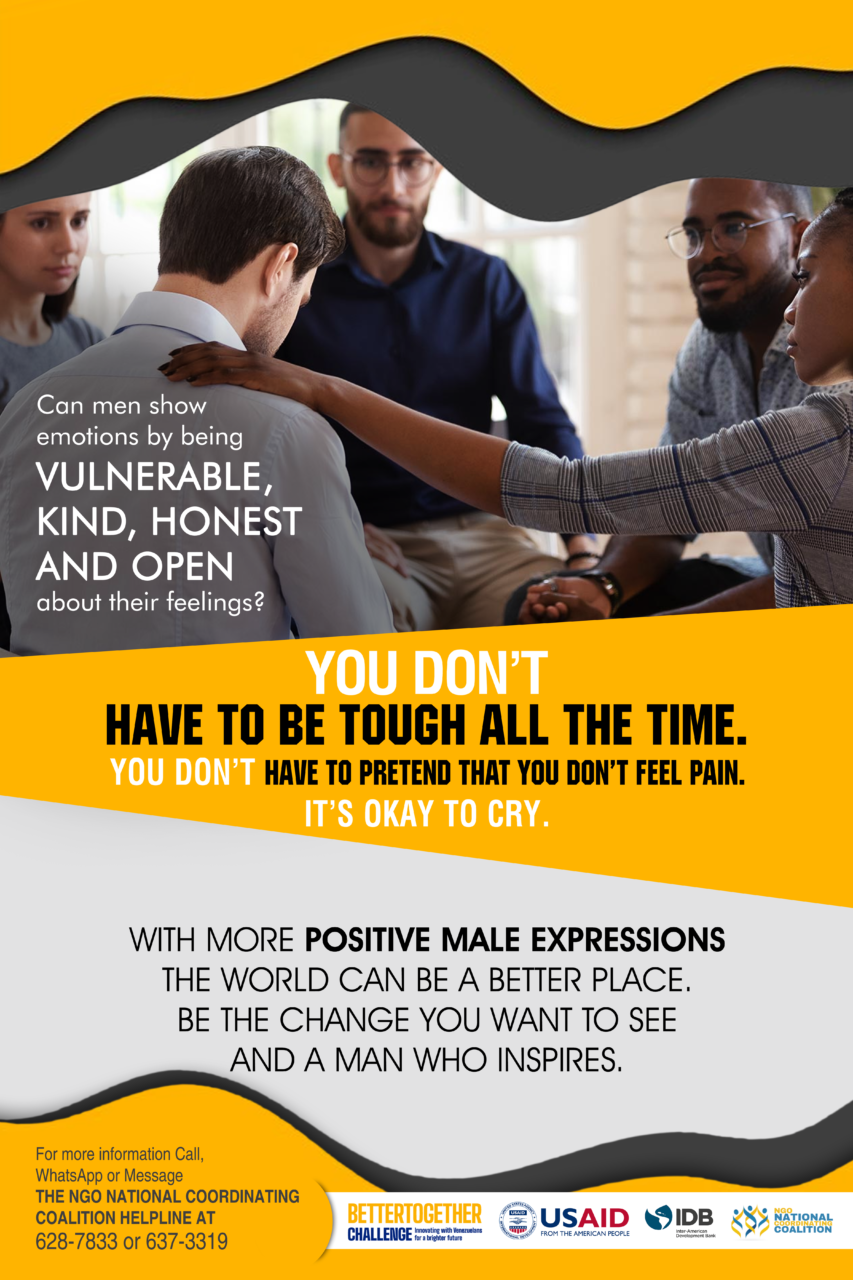 Alternative Masculinities Poster – NGO National Coordinating Coalition Inc.